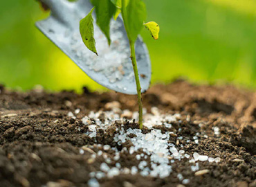 Agri Care